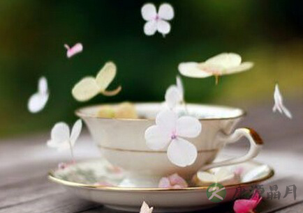 茶叶养生之古籍说茶 茶叶养生之古籍说茶