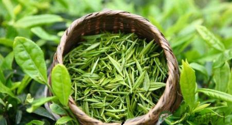 几种花茶的功效(下) 几种花茶的功效(下)