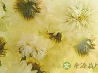 夏季上火喝什么茶 清热降火茶美容又养颜 夏季上火喝什么茶 清热降火茶美容又养颜