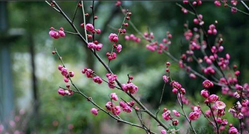 得道境界:曲则全,枉则直 得道境界:曲则全,枉则直