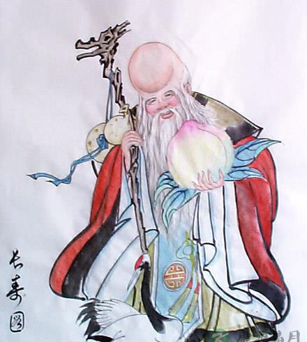 南极仙翁 南极仙翁