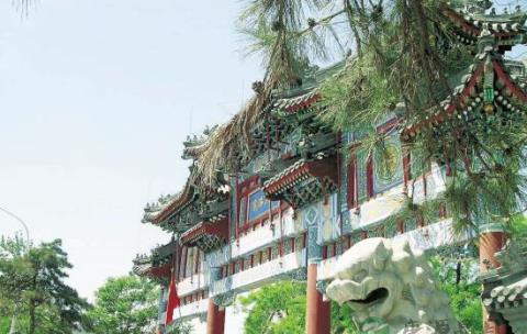 古琴,静静地躺在北京白云观 古琴,静静地躺在北京白云观