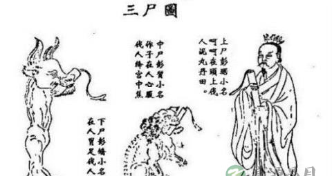 玄洲上卿苏仙君升仙轶事 玄洲上卿苏仙君升仙轶事