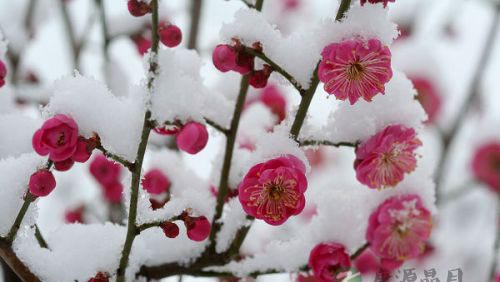 老子智慧:重积德则无不克 老子智慧:重积德则无不克