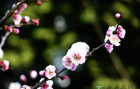 天之道:损有余而补不足 天之道:损有余而补不足