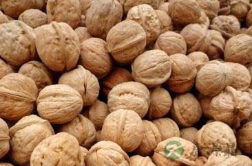 吃什么补肾 最全补肾的食物有哪些 吃什么补肾 最全补肾的食物有哪些