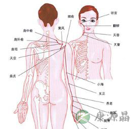 人体12大经络之一 小肠经穴位的治疗作用 人体12大经络之一 小肠经穴位的治疗作用