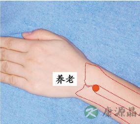 人体12大经络之一 小肠经穴位的治疗作用 人体12大经络之一 小肠经穴位的治疗作用