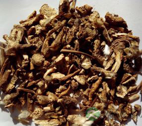 白头翁的功效与作用 白头翁的中药附方 白头翁的功效与作用 白头翁的中药附方