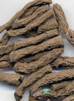 解读一名独茅——仙茅 解读一名独茅——仙茅