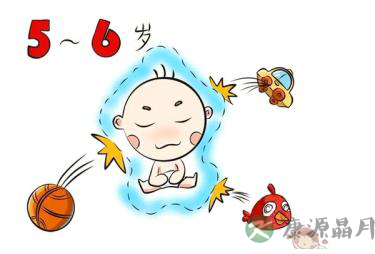 聚精会神的宝宝养成记