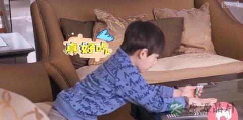 董洁是好妈妈吗?因为顶顶 她与父亲吵不停 董洁是好妈妈吗?因为顶顶 她与父亲吵不停