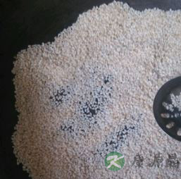 最传统的芝麻盐做法 宝宝补铁补钙的佳品 最传统的芝麻盐做法 宝宝补铁补钙的佳品
