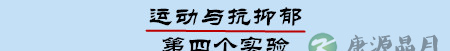 运动!让孩子高颜值高智商的秘诀 运动!让孩子高颜值高智商的秘诀