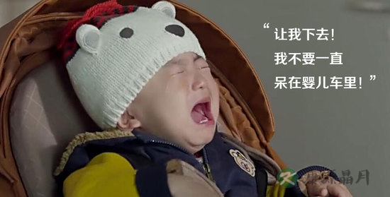 吐槽"三个奶爸":若真这样当奶爸 孩子早被偷了 吐槽"三个奶爸":若真这样当奶爸 孩子早被偷了