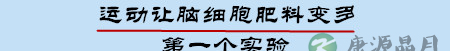 运动!让孩子高颜值高智商的秘诀 运动!让孩子高颜值高智商的秘诀