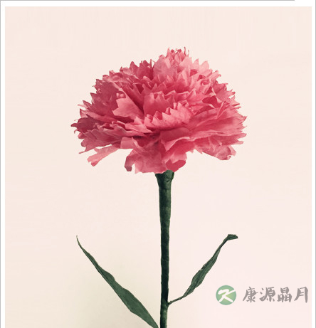 马伊琍收到女儿的贺卡 3.8节和孩子做康乃馨吧 马伊琍收到女儿的贺卡 3.8节和孩子做康乃馨吧