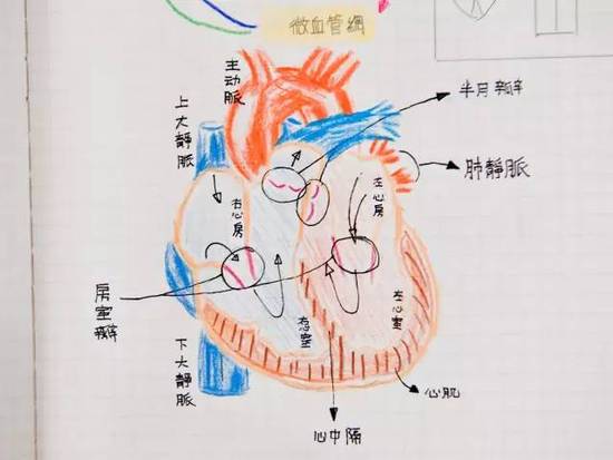 台湾中小学生最值得借鉴的 可能是这种学习方法 台湾中小学生最值得借鉴的 可能是这种学习方法
