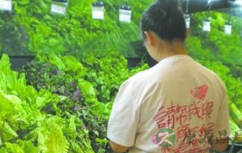 孕妇不显怀 坐公交爱心座被老人打骂 孕妇不显怀 坐公交爱心座被老人打骂