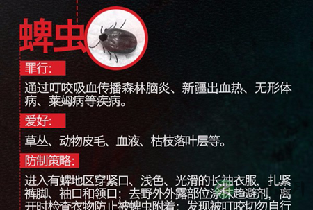 踏青注意蜱虫!携带病毒的“吸血虫”会致人死亡 踏青注意蜱虫!携带病毒的“吸血虫”会致人死亡