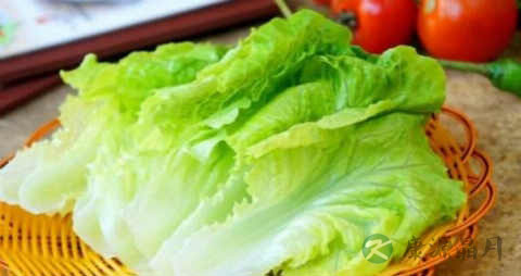 耗油生菜怎么烧 耗油生菜怎么烧