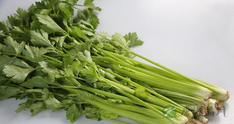 芹菜的营养价值_吃芹菜的好处 芹菜的营养价值_吃芹菜的好处