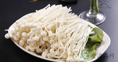 金针菇做菜要焯水吗 金针菇做菜要焯水吗