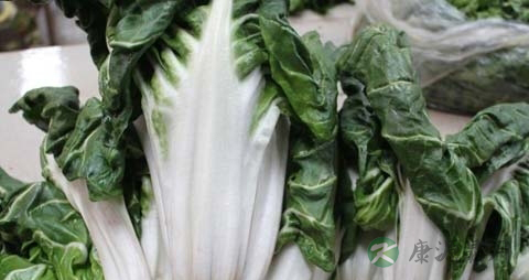 厚合菜不能与什么同食 厚合菜不能与什么同食