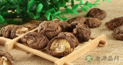 干香菇要泡多久