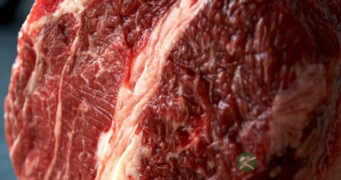 牛肉怎么卤好吃 牛肉怎么卤好吃
