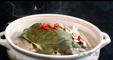 甲鱼怎么处理 甲鱼怎么处理