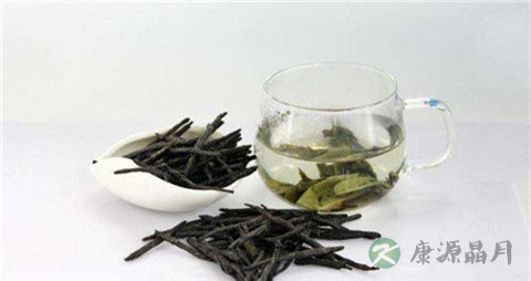 苦丁茶能天天喝吗