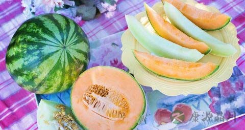 哈密瓜怎么挑 哈密瓜怎么挑