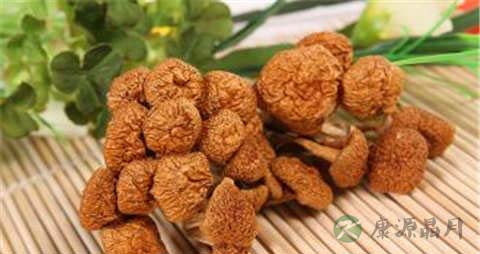 滑子菇的营养价值_吃滑子菇的好处 滑子菇的营养价值_吃滑子菇的好处
