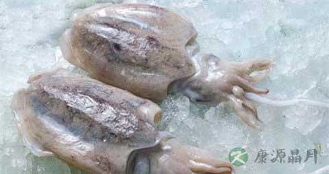 墨鱼的营养价值_吃墨鱼的好处 墨鱼的营养价值_吃墨鱼的好处