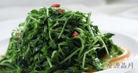 豌豆苗的吃法_哪些人不能吃豌豆苗 豌豆苗的吃法_哪些人不能吃豌豆苗