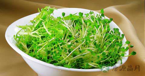 豌豆发芽还能吃吗 豌豆发芽还能吃吗