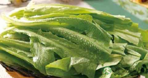 牛俐生菜的营养价值_吃牛俐生菜的好处