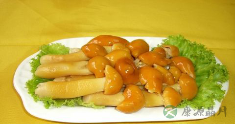 黄金菇的吃法_哪些人不能吃黄金菇 黄金菇的吃法_哪些人不能吃黄金菇