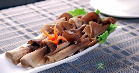 鸡枞菌的营养价值_吃鸡枞菌的好处 鸡枞菌的营养价值_吃鸡枞菌的好处