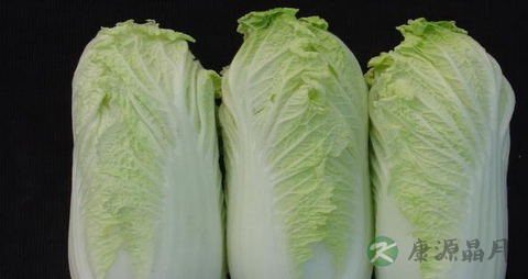 娃娃菜的营养价值_吃娃娃菜的好处 娃娃菜的营养价值_吃娃娃菜的好处