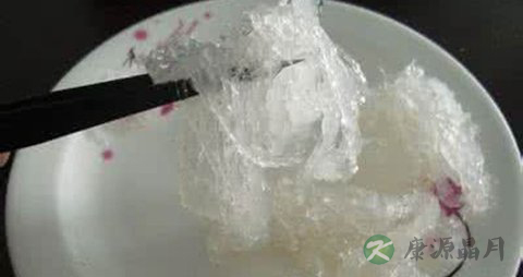 花胶要煮多久