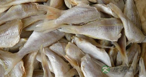 鱼片的营养价值_吃鱼片的好处