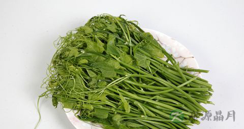 龙须菜的营养价值_吃龙须菜的好处 龙须菜的营养价值_吃龙须菜的好处