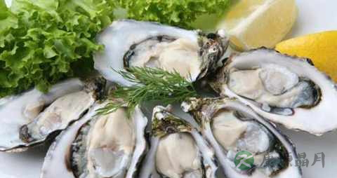 生蚝如何去壳 生蚝如何去壳