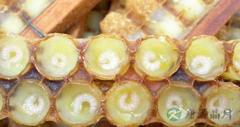 蜂王浆的吃法_哪些人不能吃蜂王浆 蜂王浆的吃法_哪些人不能吃蜂王浆