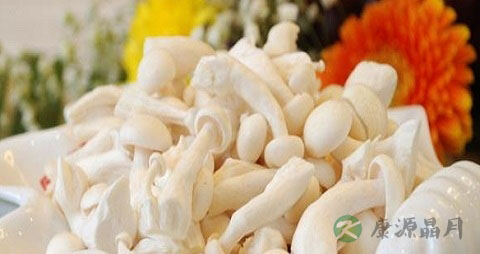 炒白玉菇用焯水吗 炒白玉菇用焯水吗