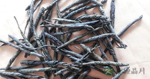 喝苦丁茶降火吗