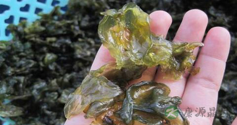 地皮菜的营养价值_吃地皮菜的好处 地皮菜的营养价值_吃地皮菜的好处