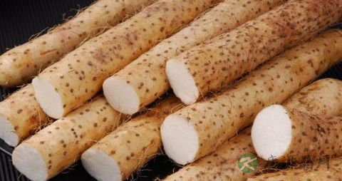山药不能和什么一起吃 山药不能和什么一起吃